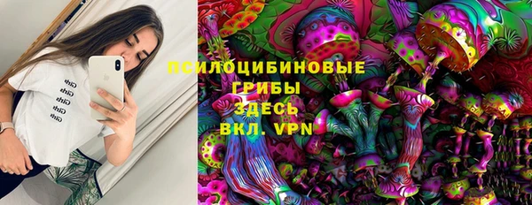 ешки Инсар