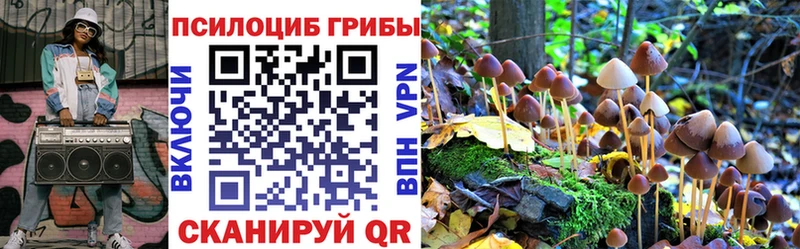 Псилоцибиновые грибы Magic Shrooms  Купить  Злынка 