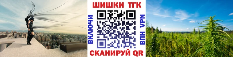 Купить закладки  Злынка  МАРИХУАНА семена 